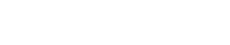 carahsoft