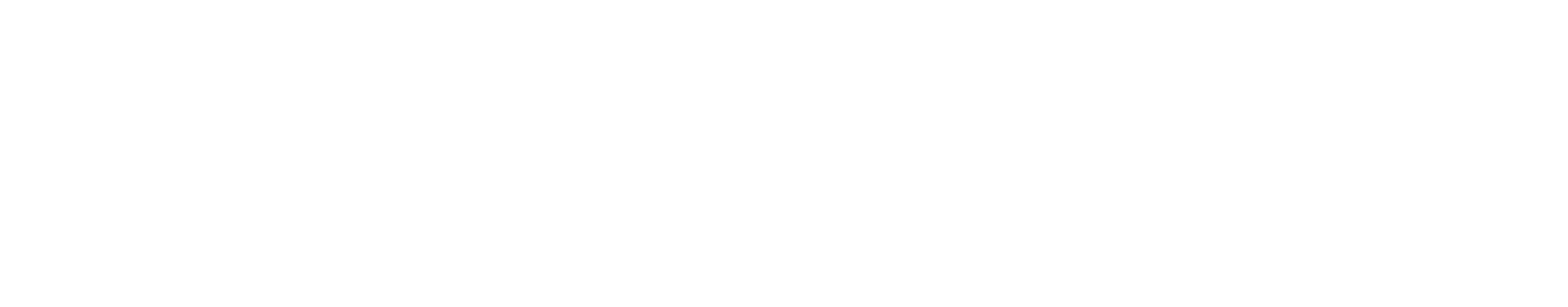 carahsoft